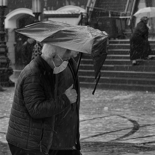 Photo #14169752