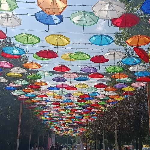 Photo #14169814