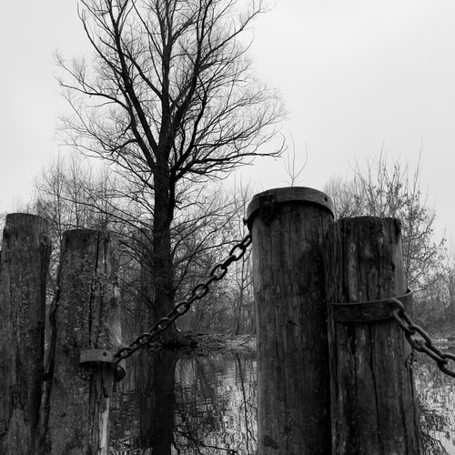 Photo #14169877
