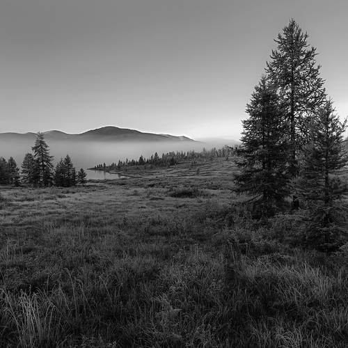 Photo #14170287