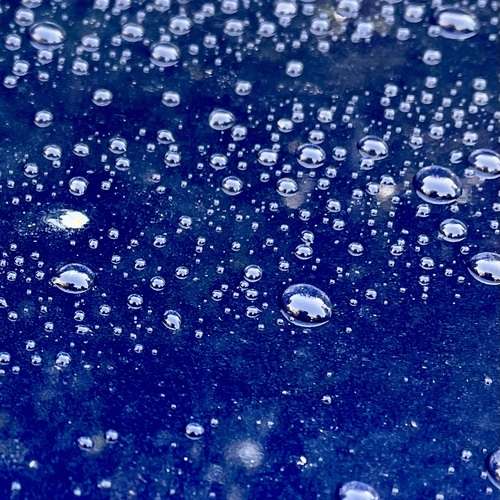 Photo #14170395