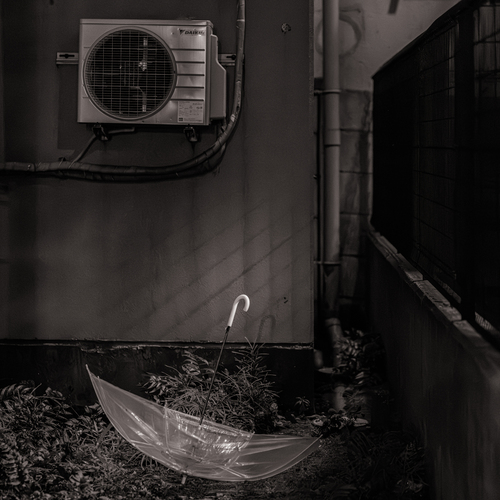 Photo #14170800