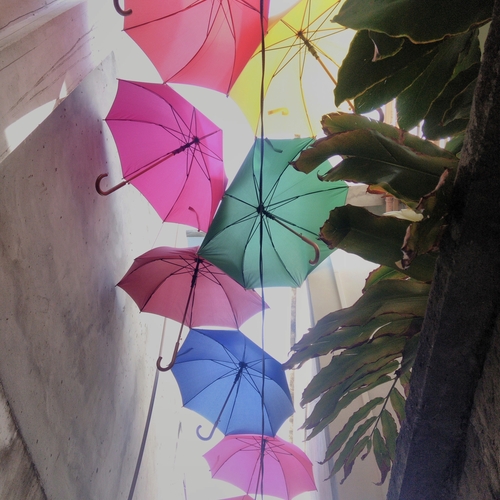 Photo #14170823