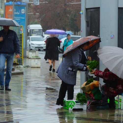 Photo #14170851