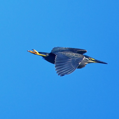 Photo #14170977