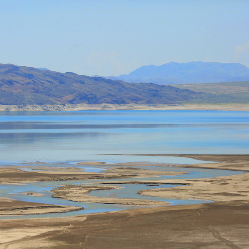 Photo #14171062