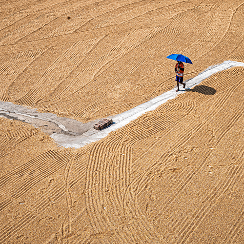 A SOLITARY BLUE