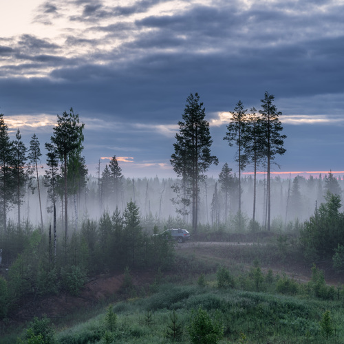 Photo #14171242