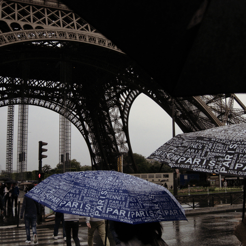 Photo #14171282