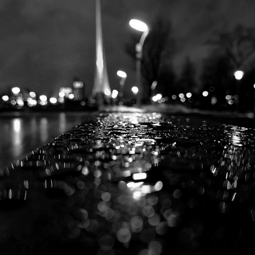 Photo #14171340