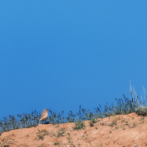 Photo #14171430