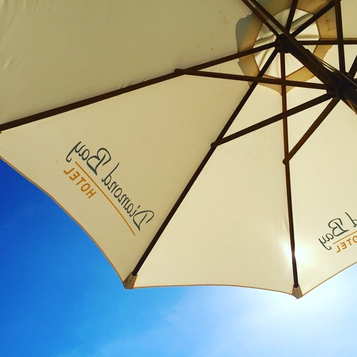 Photo #14171967
