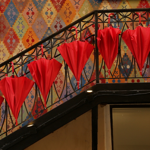 Photo #14172053