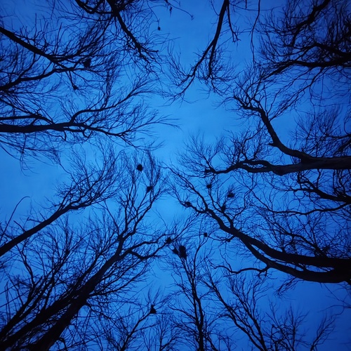 Photo #14172443
