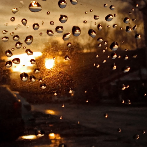 Photo #14172654
