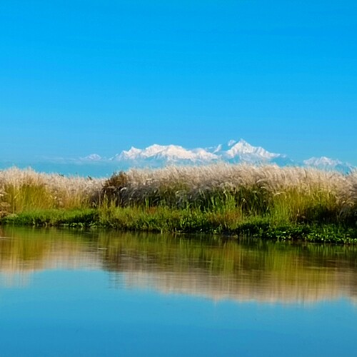 Photo #14172777