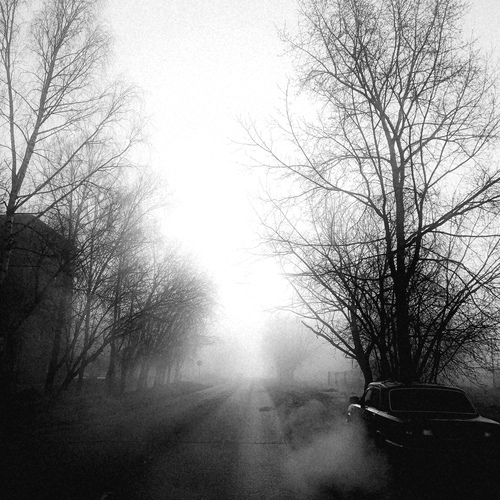 Photo #14172779
