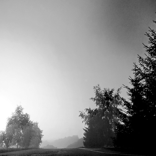 Photo #14172783