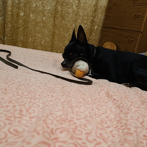Photo #14172976