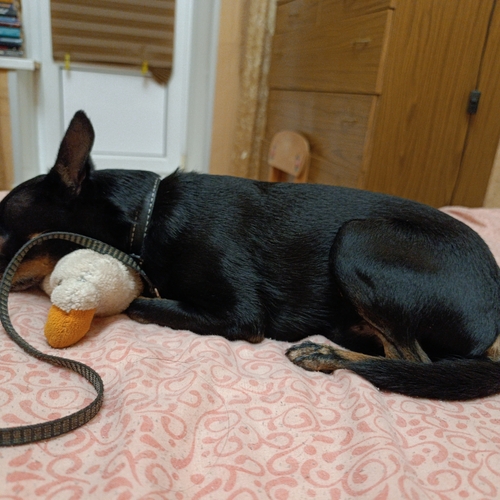 Photo #14172977