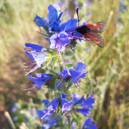 Photo #14173009