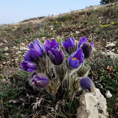 Photo #14173054