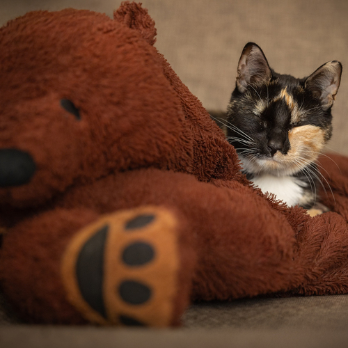 Photo #14173104