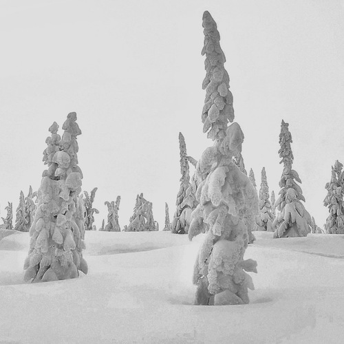Photo #14173106
