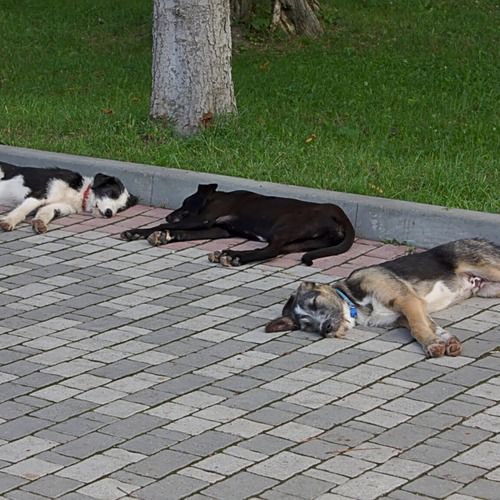 Photo #14173127