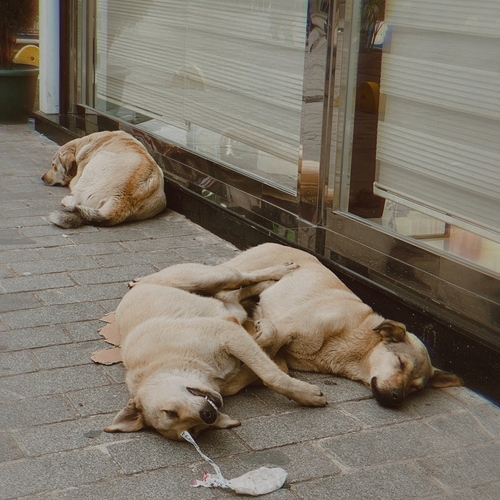 Photo #14173388