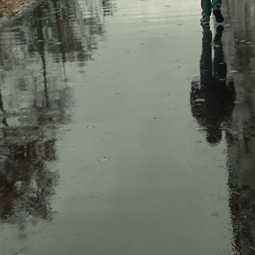 Photo #14173470