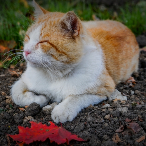 Photo #14173474