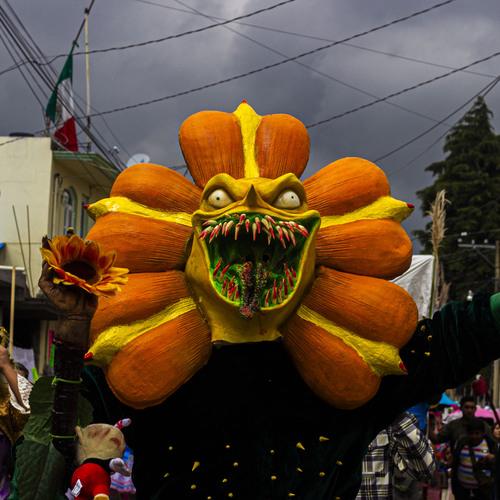 Photo #14173562