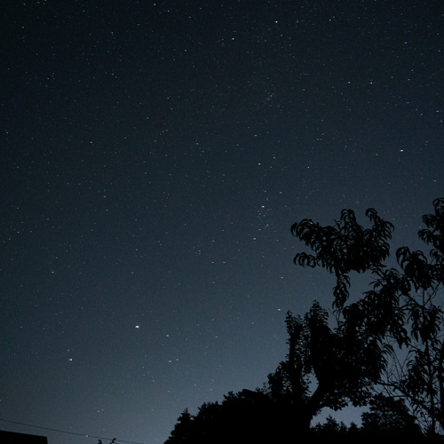 Photo #14173581
