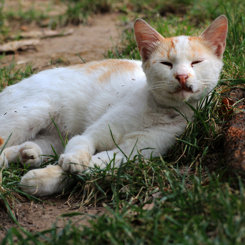 Photo #14173768