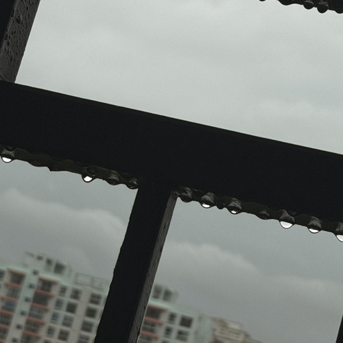 Photo #14174097