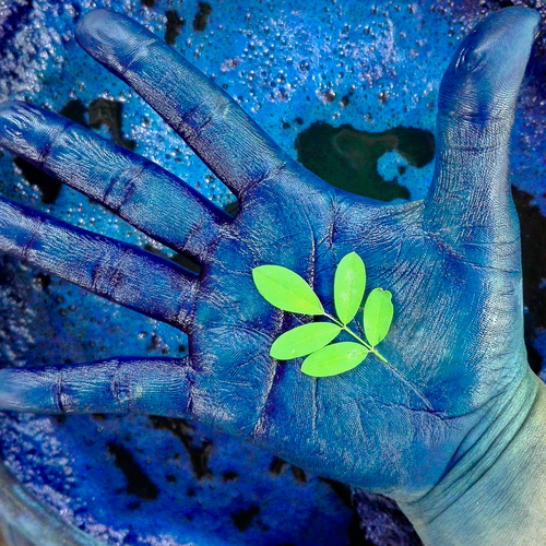 The Green to Blue Miracle