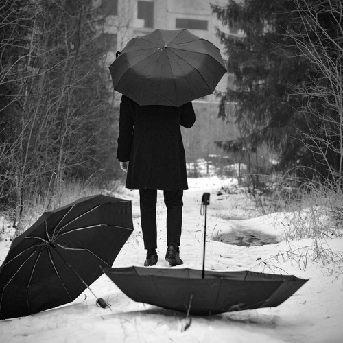 Photo #14174695