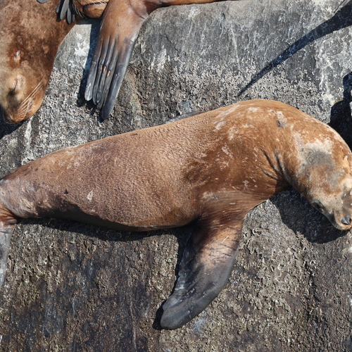 Photo #14175362