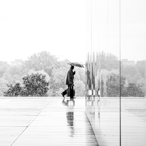 Photo #14175420
