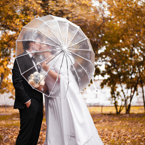 Photo #14175530