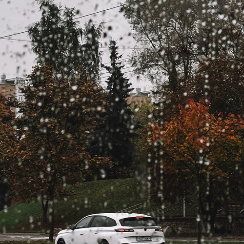 Photo #14175558
