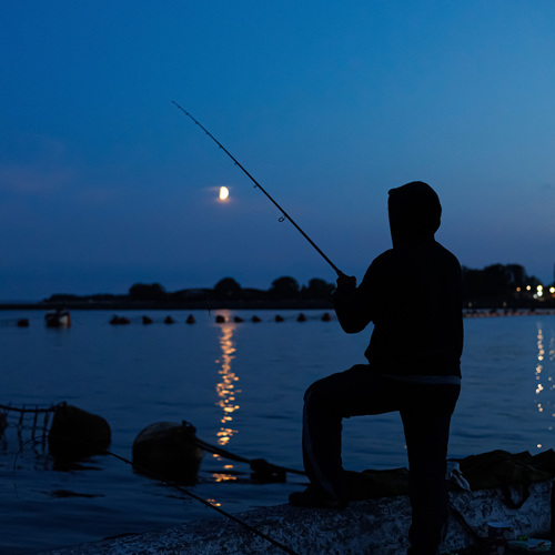 Photo #14175762