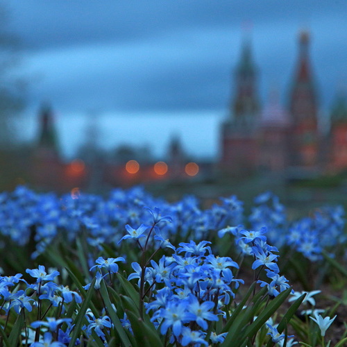 Photo #14175838