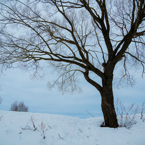 Photo #14176273
