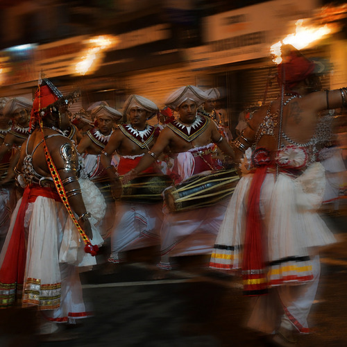 Rhythm in Motion