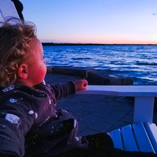 Photo #14176478