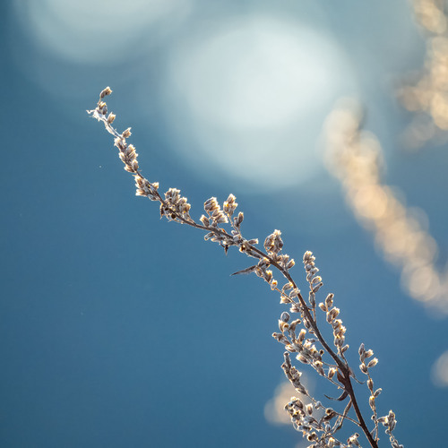 Photo #14176626