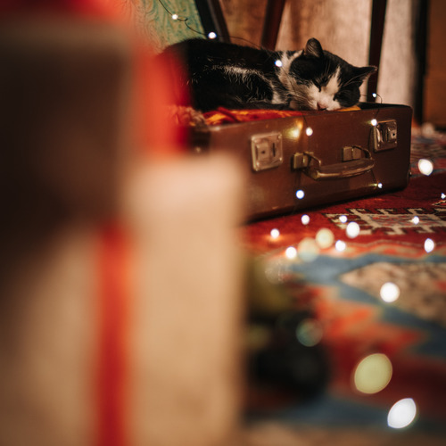 Photo #14177145