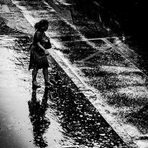 Photo #14177290